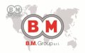 Logo B.M. GROUP srl