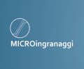 Logo Microingranaggi Srl
