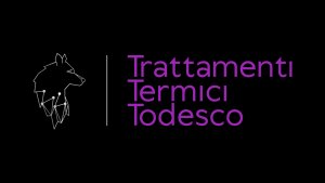 Logo TRATTAMENTI TERMICI TODESCO sas
