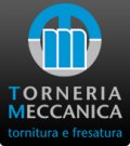 Logo TORNERIA MECCANICA SRL